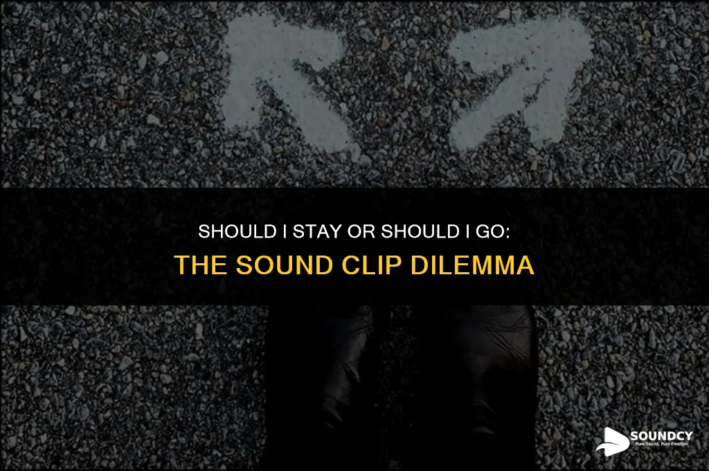 should i stay or should i go sound clip