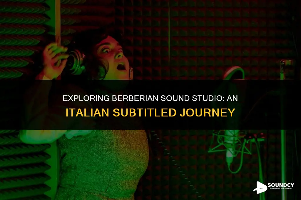 should i watch berberian sound studio with italian subtitales