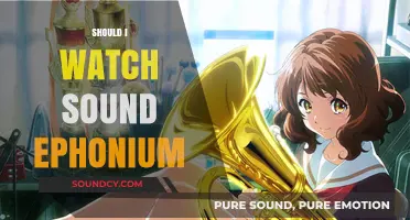 Should You Watch Sound! Euphonium? A Musical Anime Review
