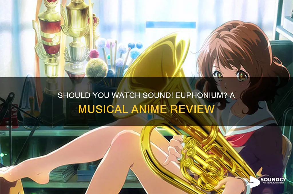 should i watch sound ephonium