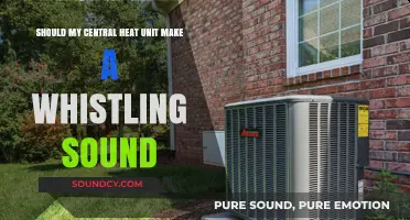 Is Your Central Heat Unit Whistling? Here's What You Need to Know