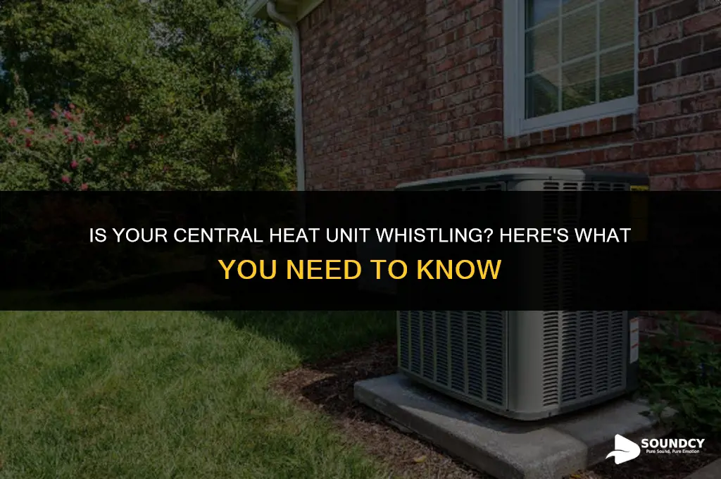 should my central heat unit make a whistling sound