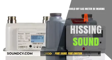 Is Your Gas Meter Hissing? Here's What You Need to Know