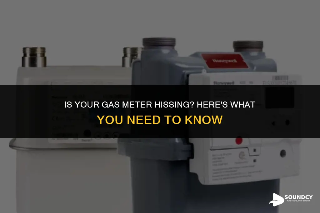 should my gas meter be making a hissing sound