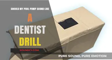 Decoding Pool Pump Noises: When It Sounds Like a Dentist's Drill