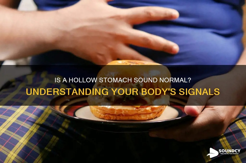 should my stomach sound hollow