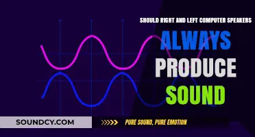 Audio Balance: The Debate on Symmetrical Sound Output in Computing