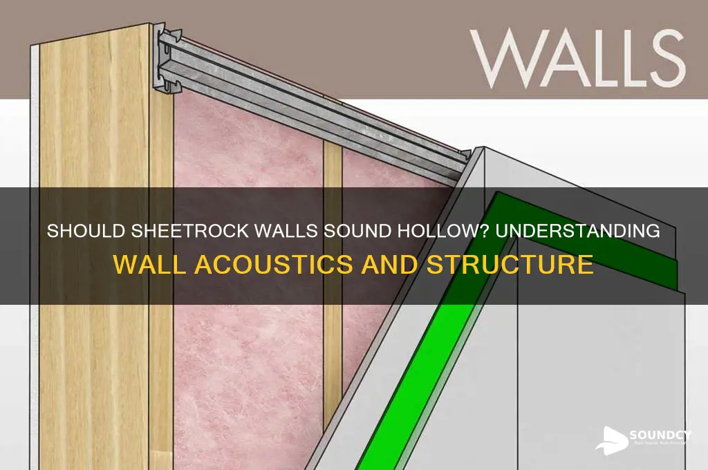 should sheetrock walls sound hollow