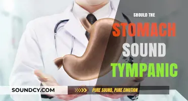 Is a Tympanic Stomach Sound Normal? Understanding Your Body's Signals