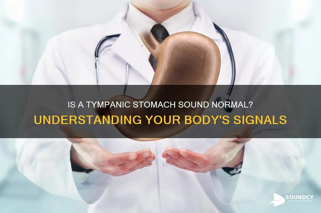 should the stomach sound tympanic