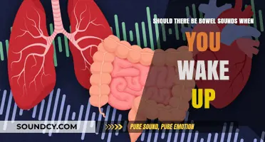 Morning Gurgles: Are Bowel Sounds Normal Upon Waking?