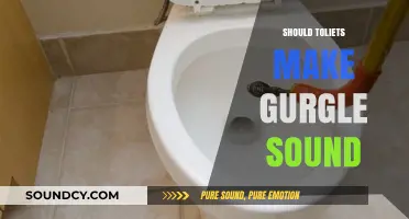 Why Do Toilets Gurgle? Understanding Causes and When to Worry