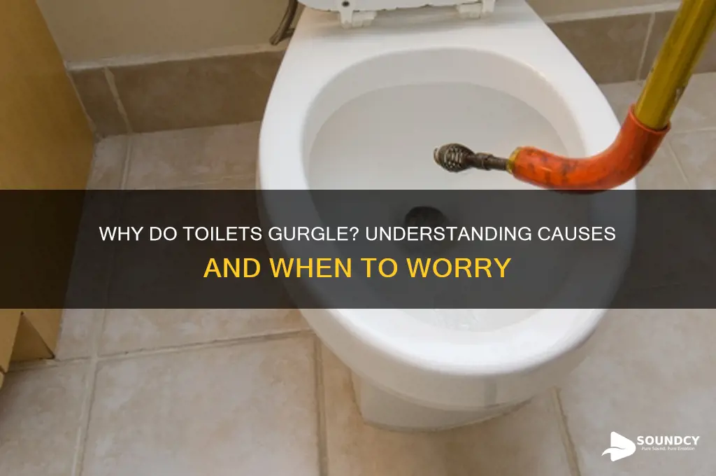 should toliets make gurgle sound