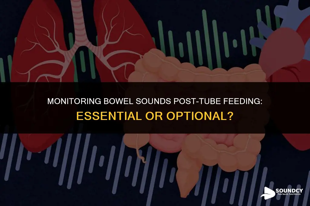 should you auscualte bowels sounds after each tube feeding
