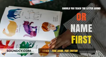 Decoding Literacy: The Debate on Teaching Letter Sounds vs. Names First