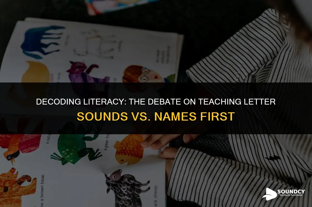 should you teach the letter sound or name first