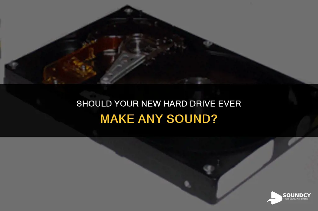should your new hard drive ever make any sound
