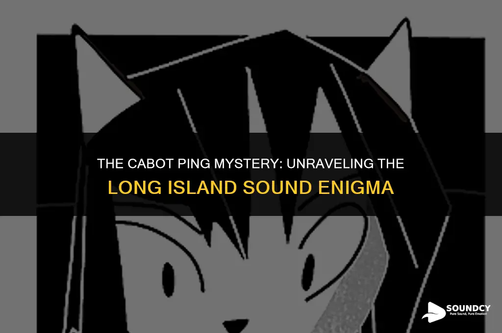 was cabot ping in long island sound an error