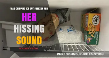 The Mysterious Case of the Hissing Freezer: A Chilling Discovery