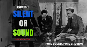 Was the Coquette Silent or Sound? Unraveling the Mystery