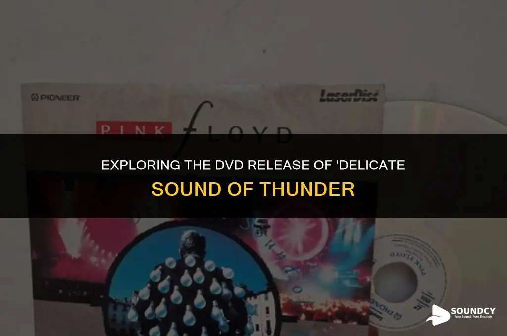 was delicate sound of thunder ever released on dvd