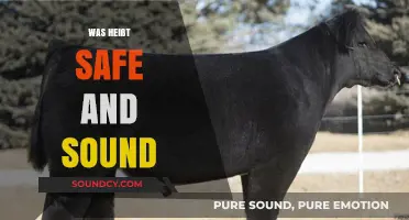 Was Heißt Safe and Sound? Understanding the Meaning and Usage
