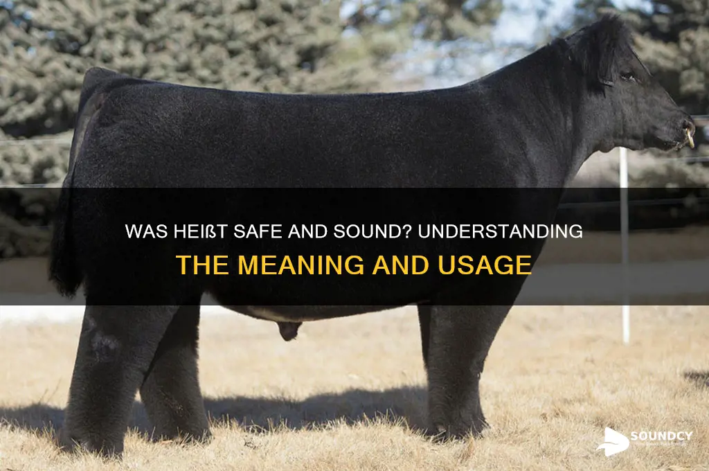 was heißt safe and sound