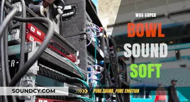 Was the Super Bowl Sound Too Soft? Fans Debate Audio Levels