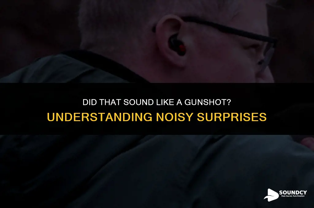 was that a shot that sounded like a shot