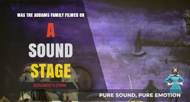Unveiling the Secrets: Was The Addams Family Filmed on a Sound Stage?