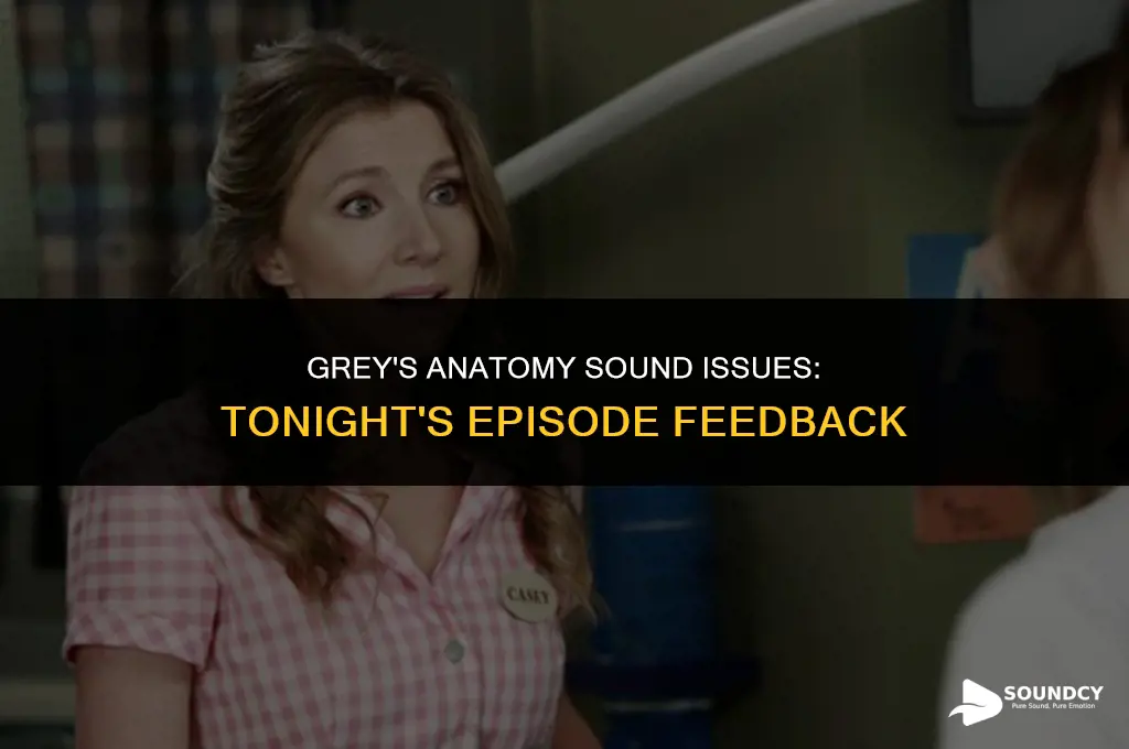 was the sound bad on grey