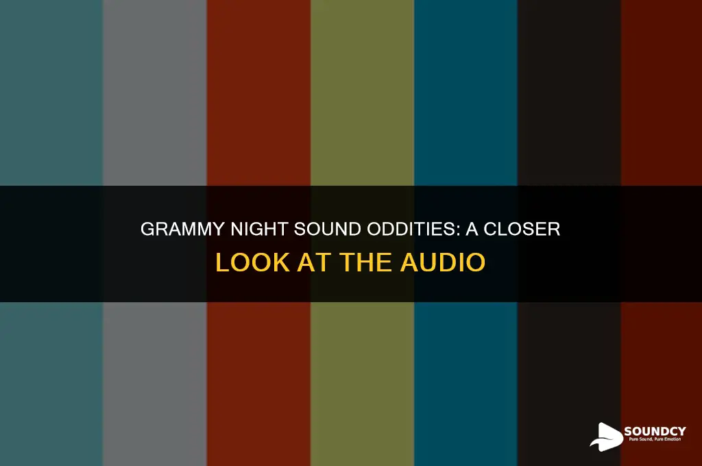 was the sound on the grammys last night weird