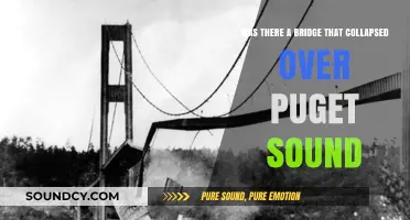 Did a Bridge Collapse Over Puget Sound? Facts and Myths