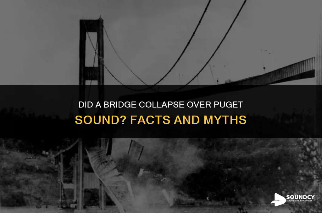 was there a bridge that collapsed over puget sound