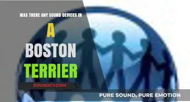 Decoding Canine Communication: Do Boston Terriers Use Sound Devices?