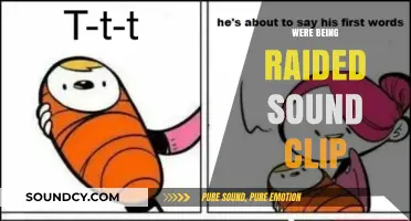 We're Being Raided Sound Clip: Origins, Memes, and Viral Impact