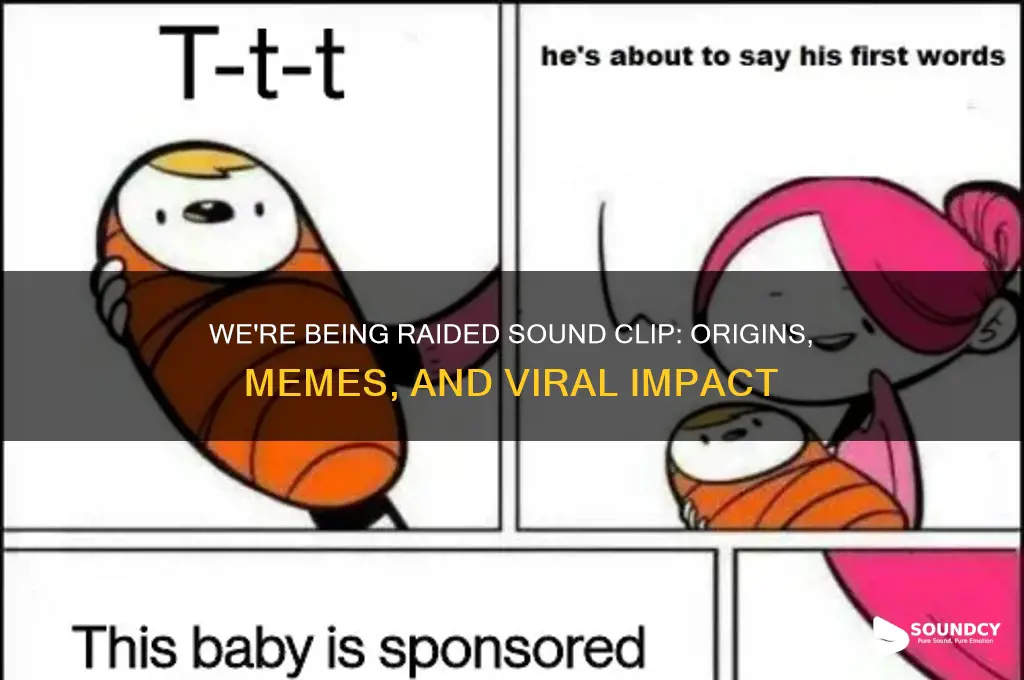 were being raided sound clip