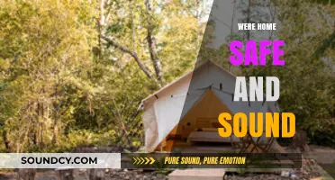 Home Sweet Home: Safe and Sound After an Unforgettable Adventure