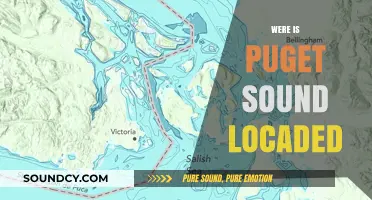 Discovering Puget Sound: Location, Geography, and Pacific Northwest Charm