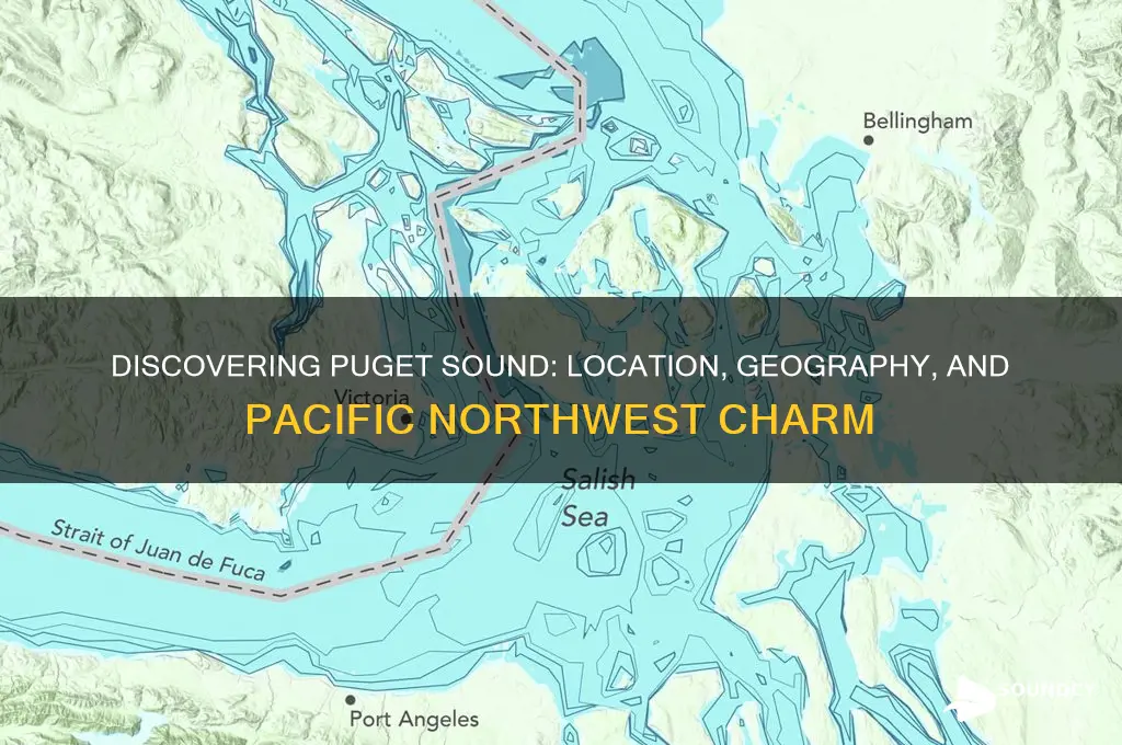 were is puget sound locaded