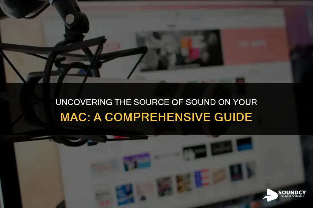 were is the sound on my mac coming from