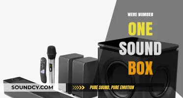 Top-Rated Sound Box: Why It's the Ultimate Audio Choice
