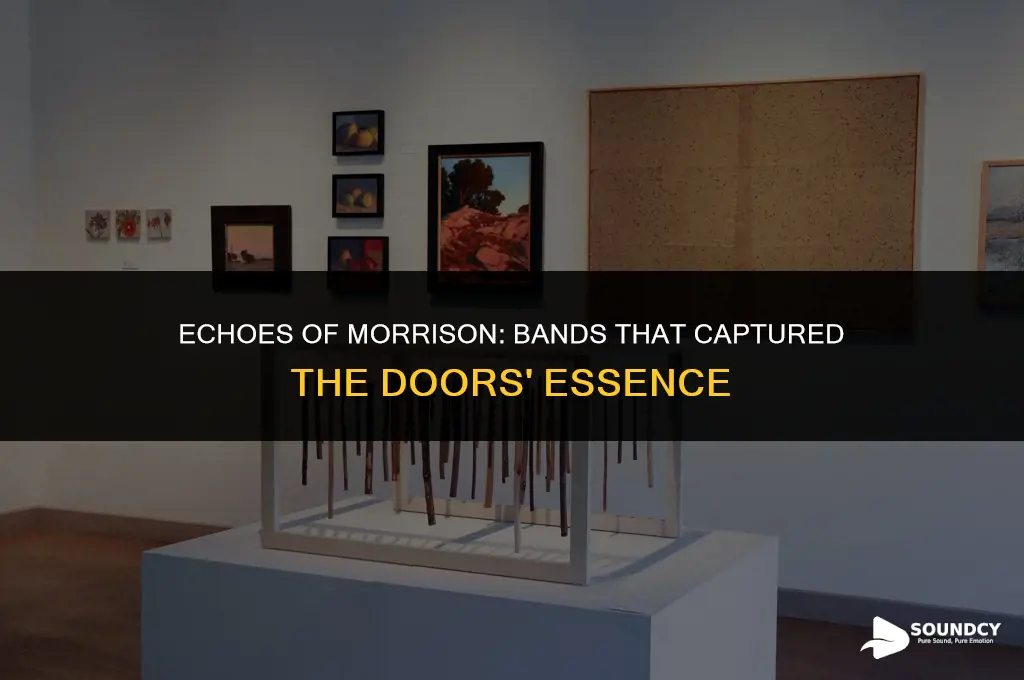 were there other bands that sounded like the doors