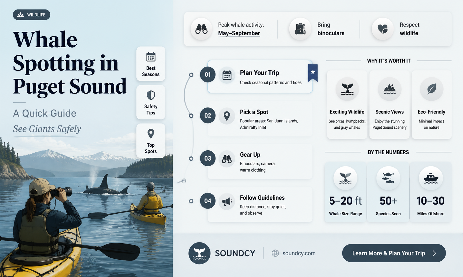 are there whales in puget sound
