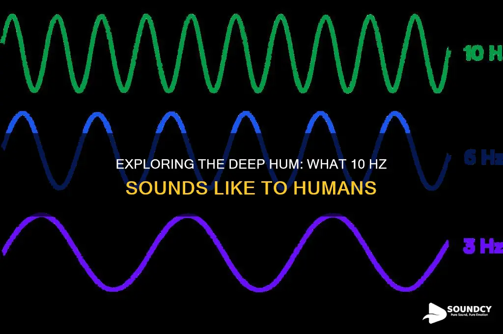 what 10 hz sounds like