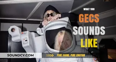 Exploring the Chaotic, Hyperpop Soundscape of 100 Gecs' Music