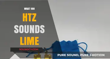Unveiling the Sonic Experience: What 100 Hz Sounds Like Explained