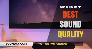 Exploring the Pinnacle of Audio Excellence in 24-Inch TVs