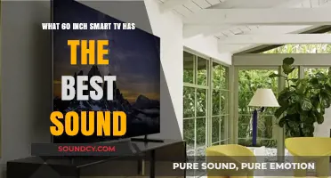 Unveiling the Smart TV with Superior Sound: A 60-Inch Guide