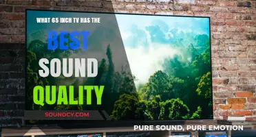 Unveiling the Ultimate 65-Inch TV with Exceptional Sound Quality